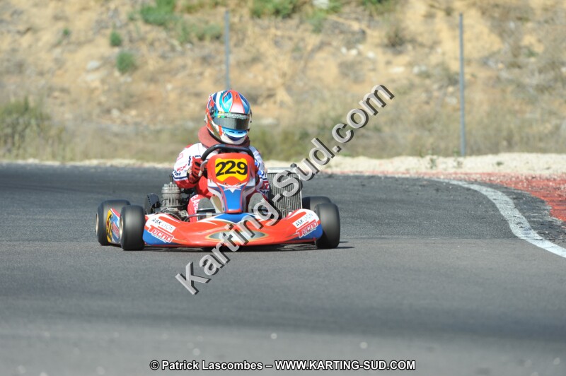 DSC_0213.JPG