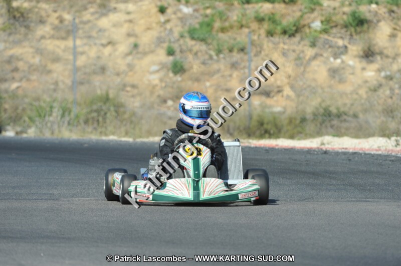 DSC_0221.JPG