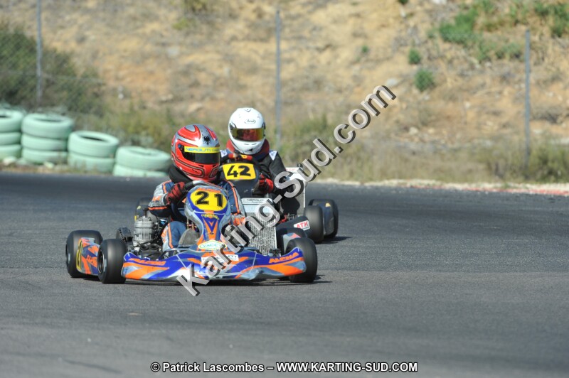 DSC_0225.JPG