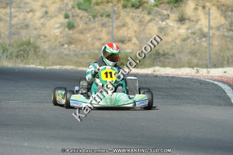 DSC_0230.JPG