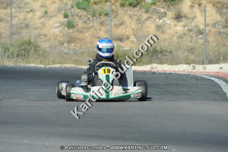 DSC_0234.JPG