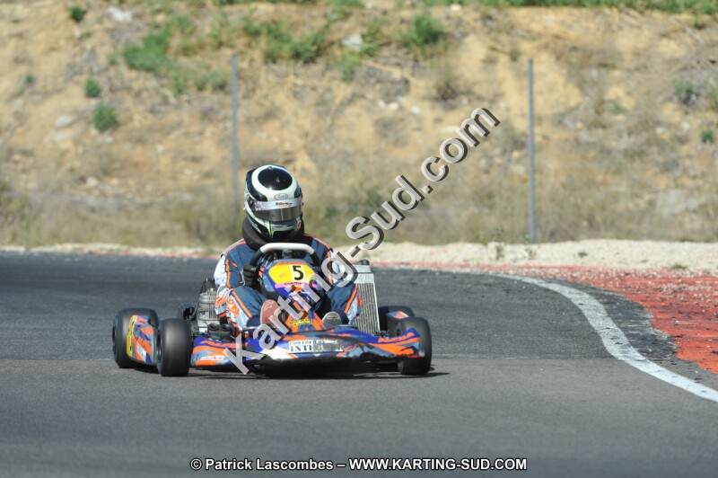 DSC_0239.JPG