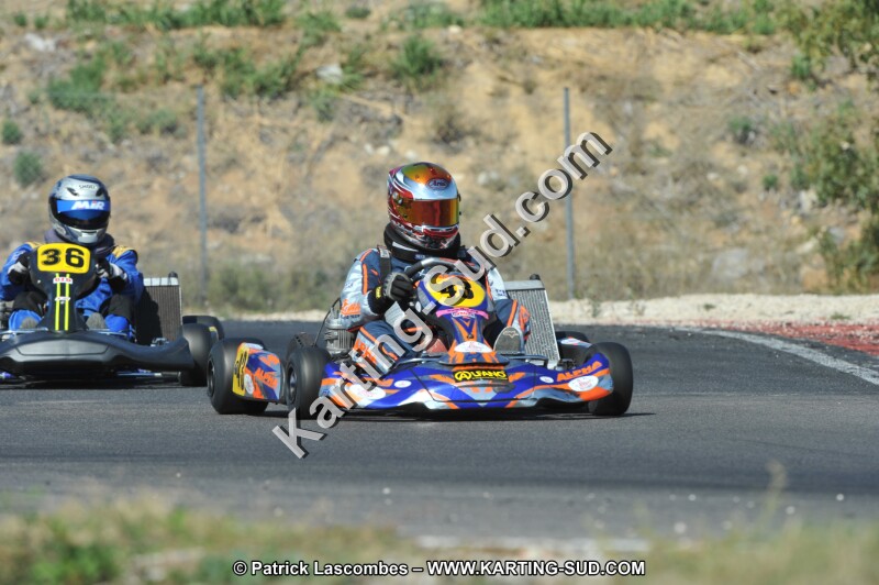 DSC_0269.JPG