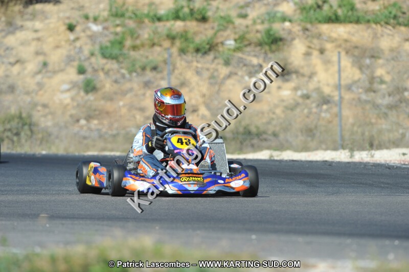 DSC_0304.JPG