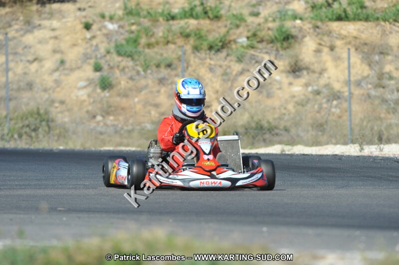 DSC_0313.JPG