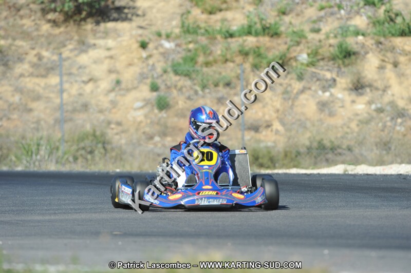DSC_0320.JPG