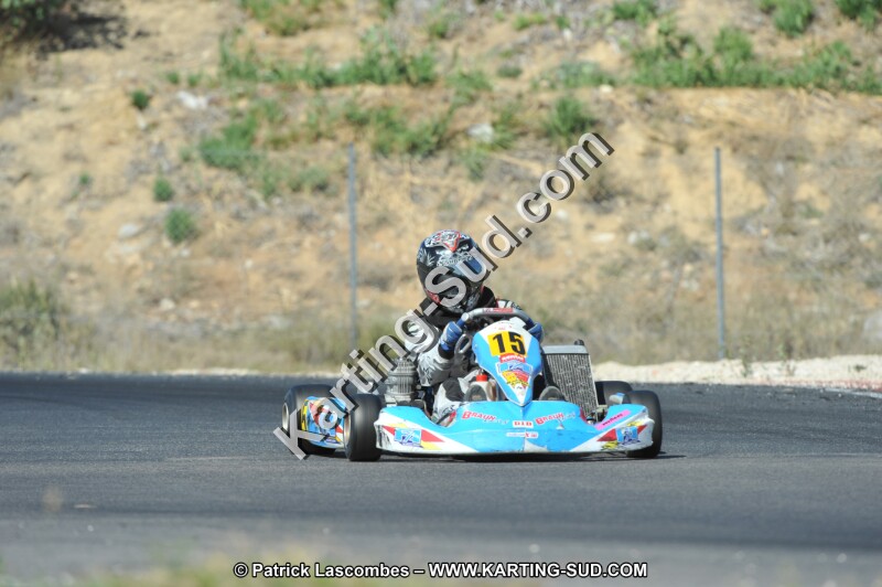 DSC_0321.JPG