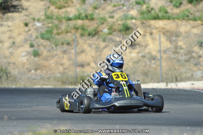 DSC_0338.JPG