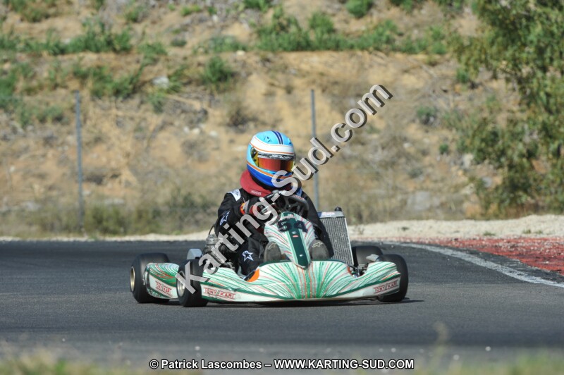 DSC_0345.JPG