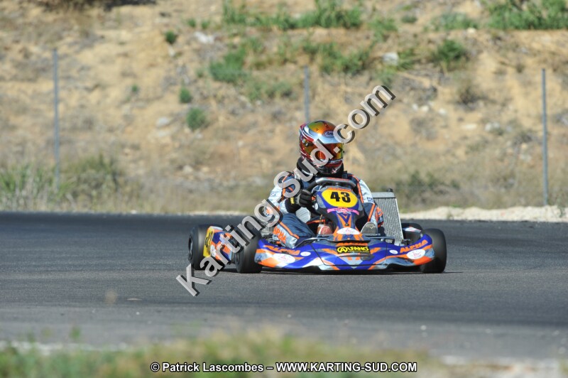 DSC_0350.JPG