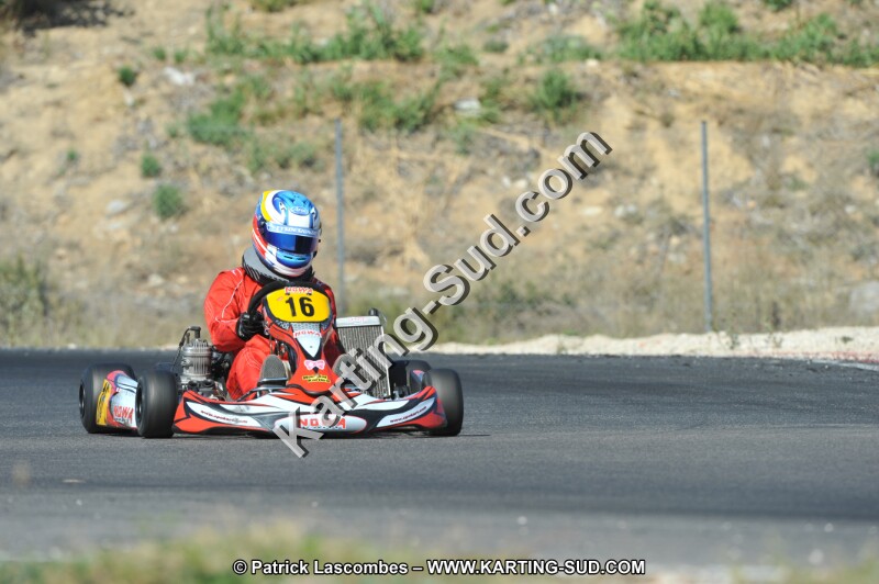 DSC_0380.JPG