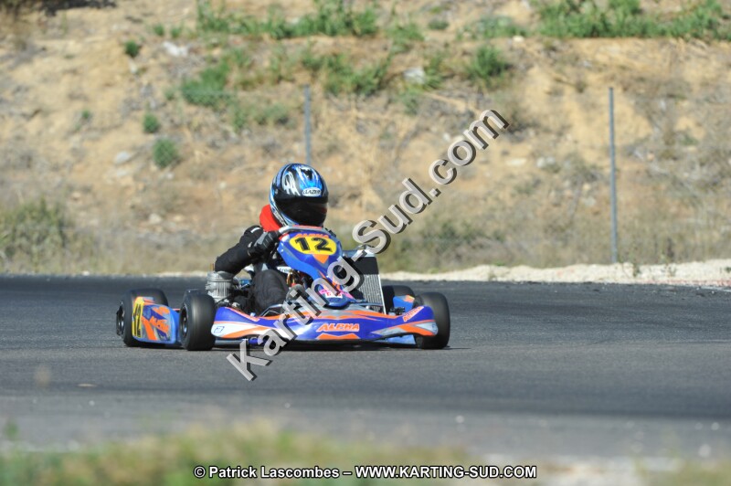 DSC_0381.JPG