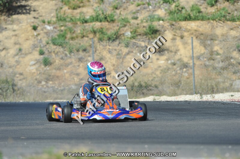 DSC_0398.JPG