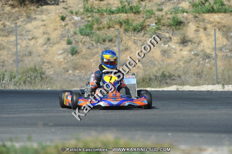 DSC_0413.JPG