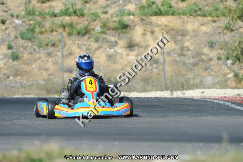 DSC_0419.JPG