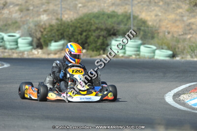 DSC_0437.JPG