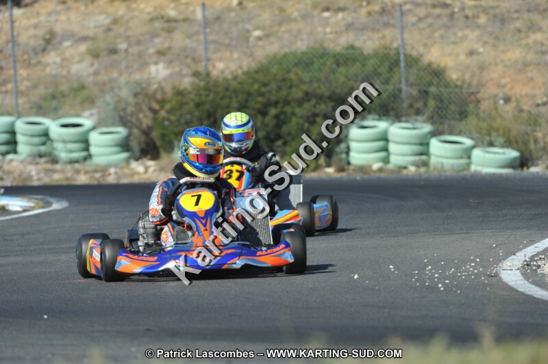 DSC_0486.JPG