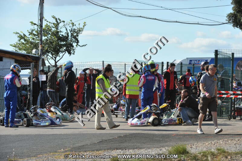 DSC_0503.JPG