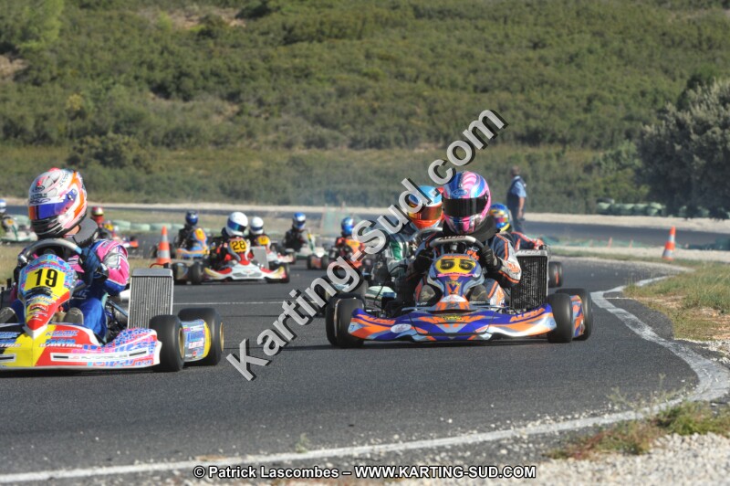 DSC_0511.JPG