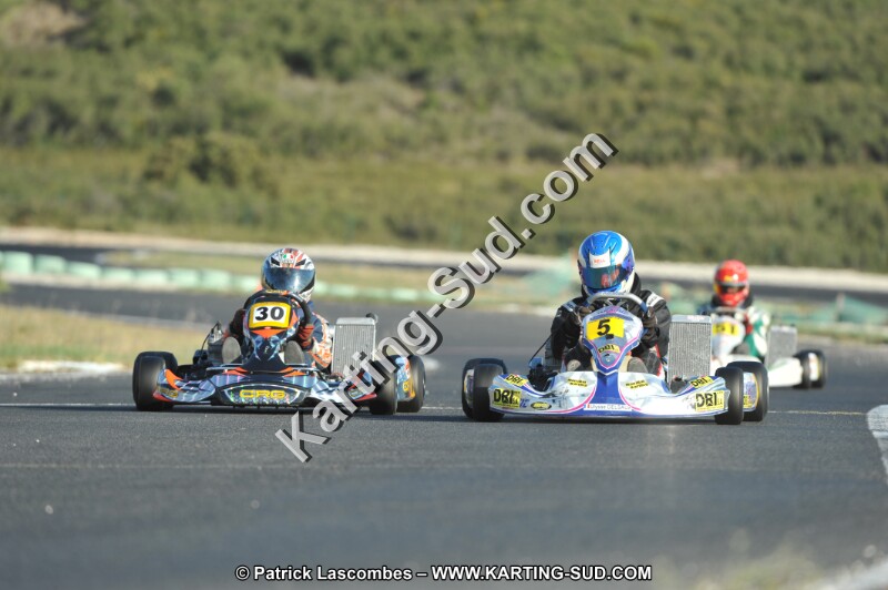 DSC_1010.JPG