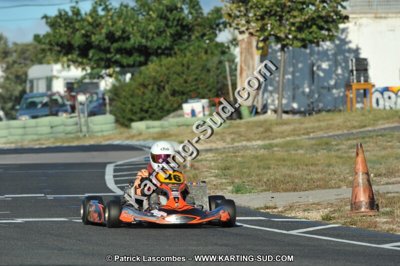 DSC_1250.JPG