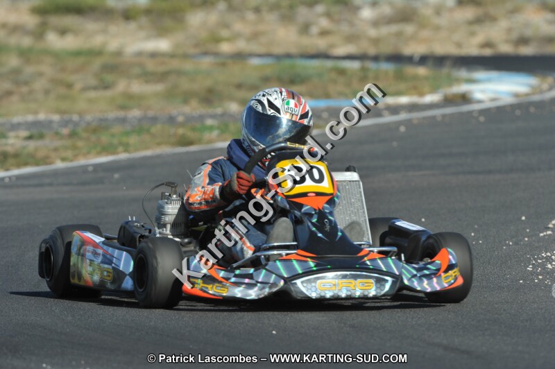 DSC_1446.JPG