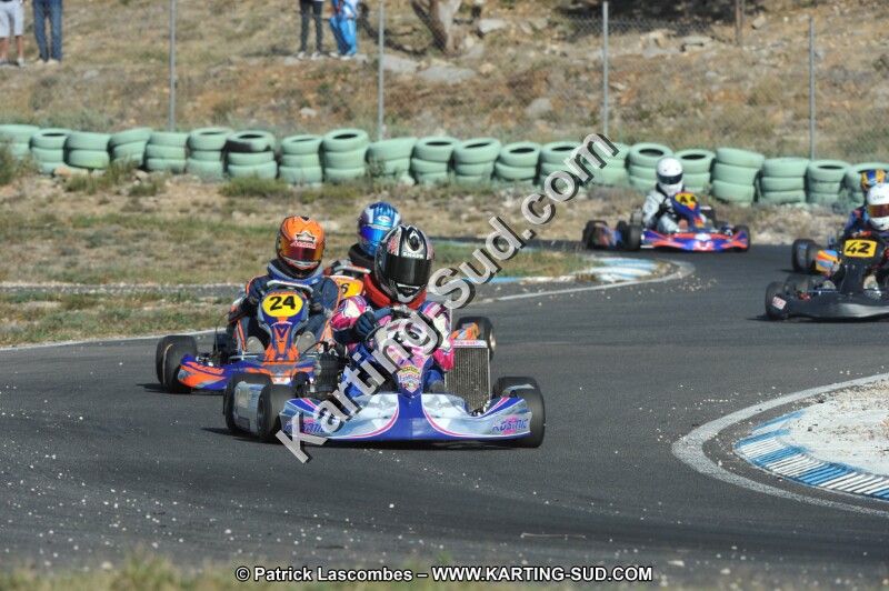 DSC_1511.JPG