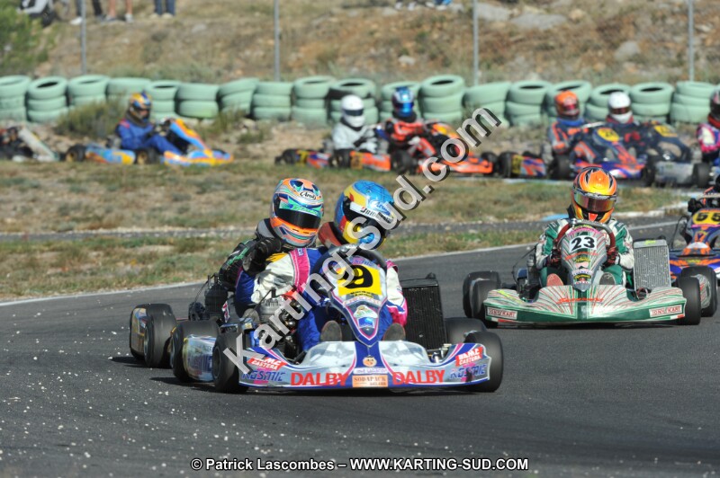 DSC_1517.JPG
