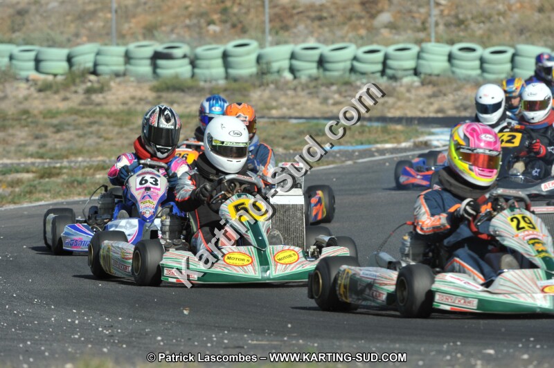 DSC_1518.JPG