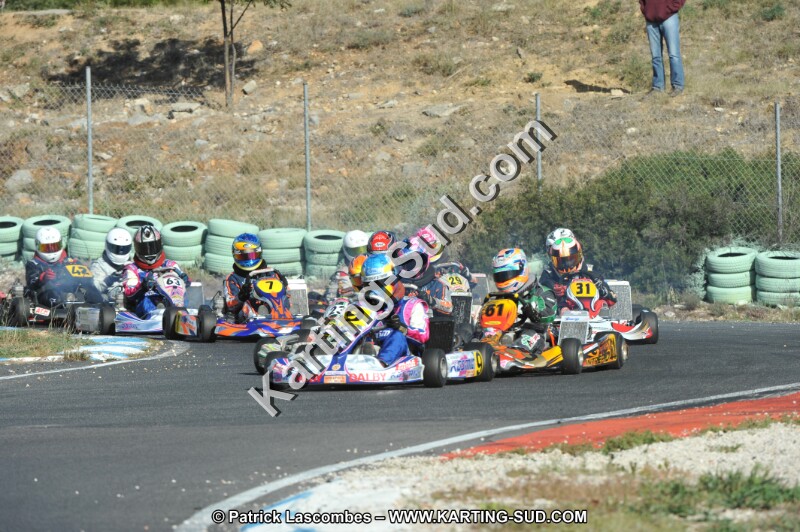 DSC_1520.JPG