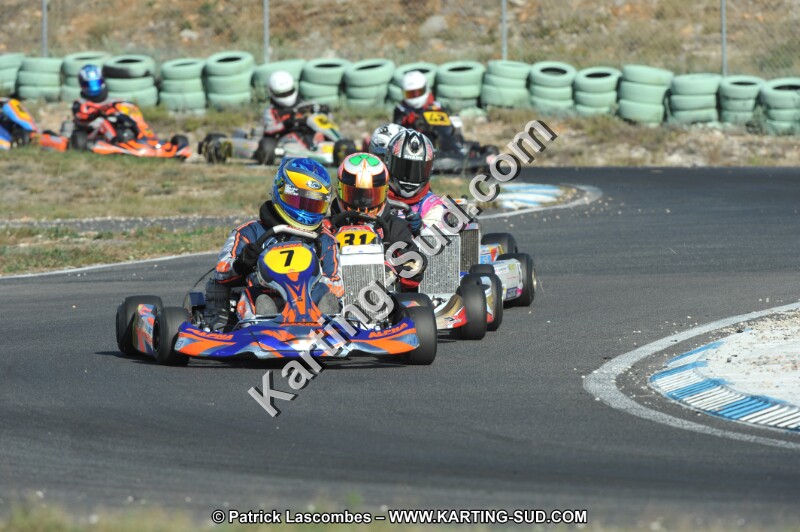 DSC_1524.JPG