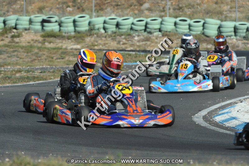 DSC_1528.JPG