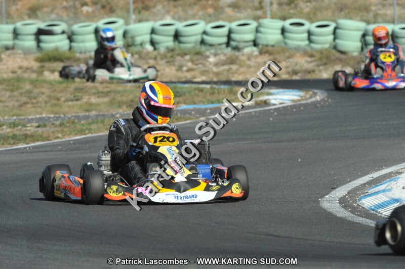 DSC_1553.JPG