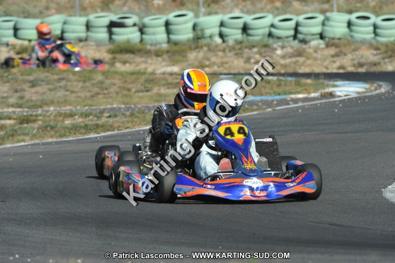 DSC_1564.JPG