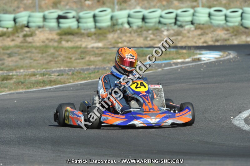 DSC_1599.JPG