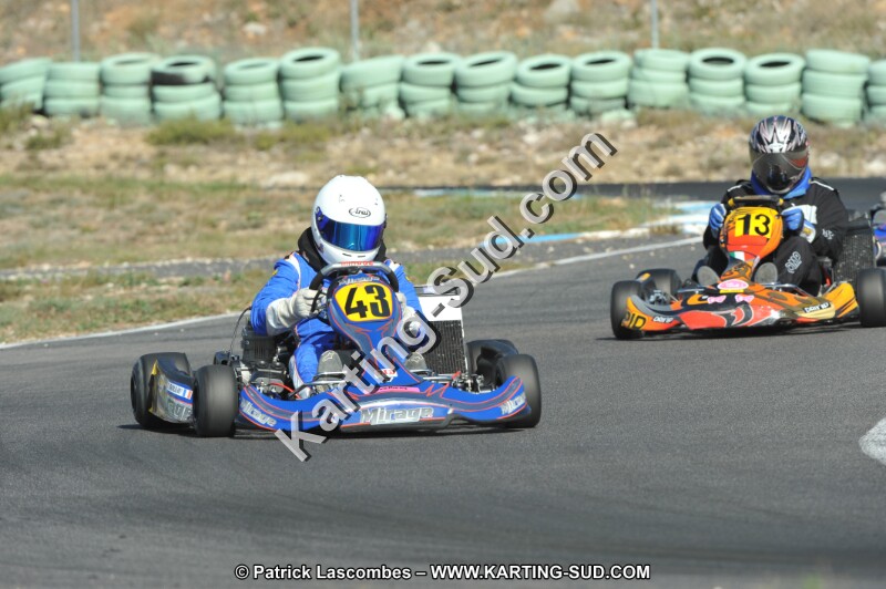 DSC_1800.JPG