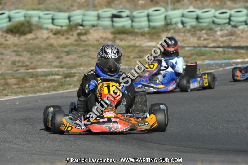 DSC_1910.JPG