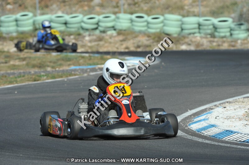 DSC_1937.JPG