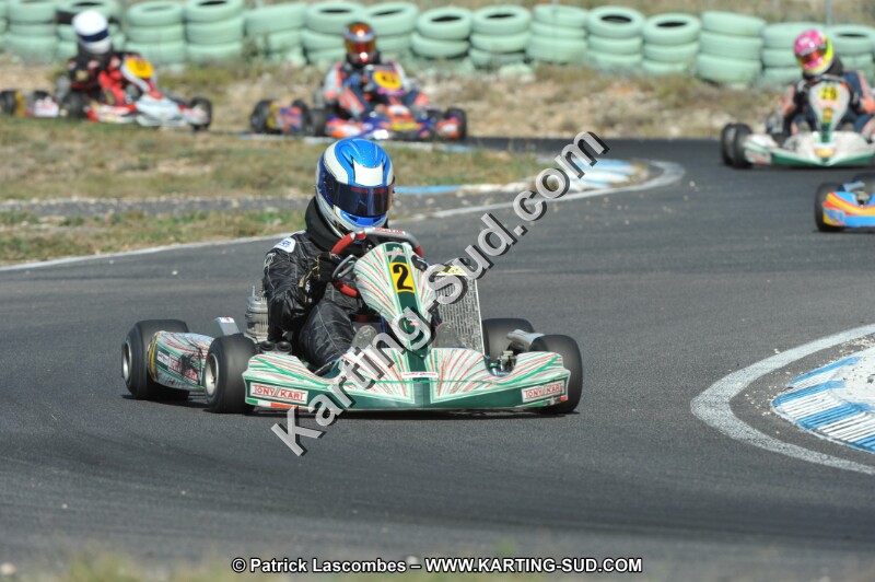 DSC_1950.JPG