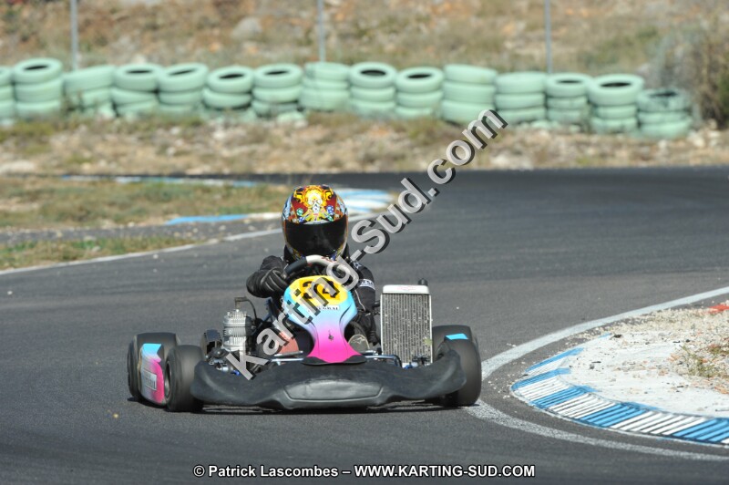 DSC_1980.JPG
