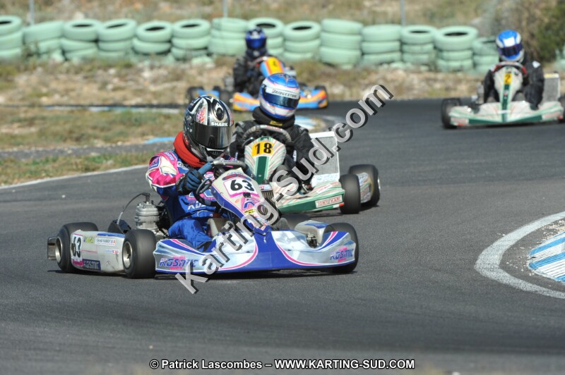 DSC_2017.JPG