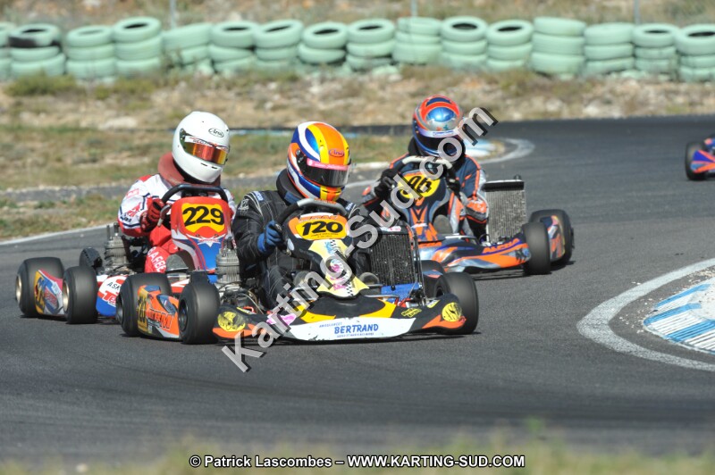DSC_2133.JPG