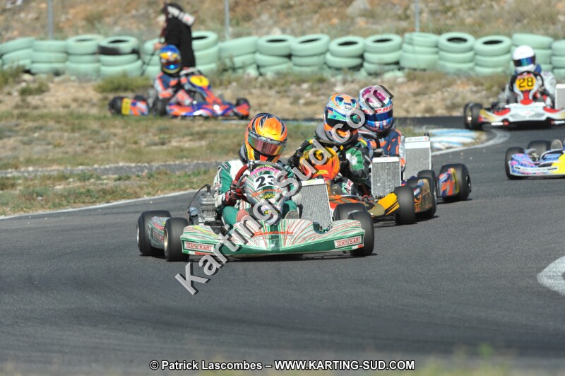 DSC_2208.JPG