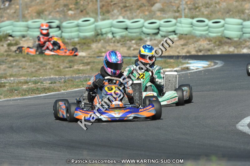 DSC_2212.JPG
