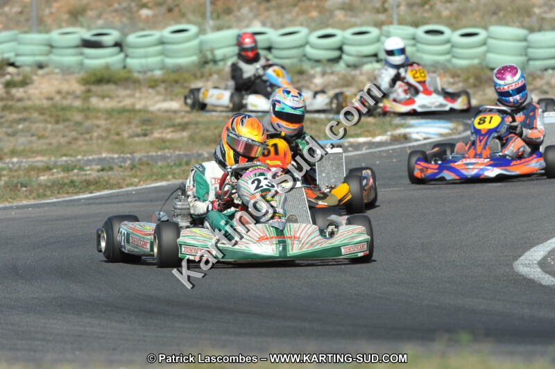 DSC_2223.JPG
