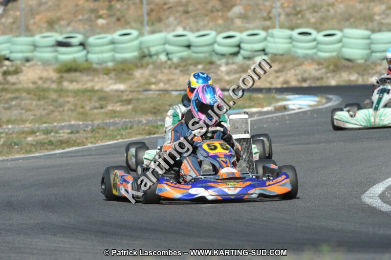 DSC_2226.JPG