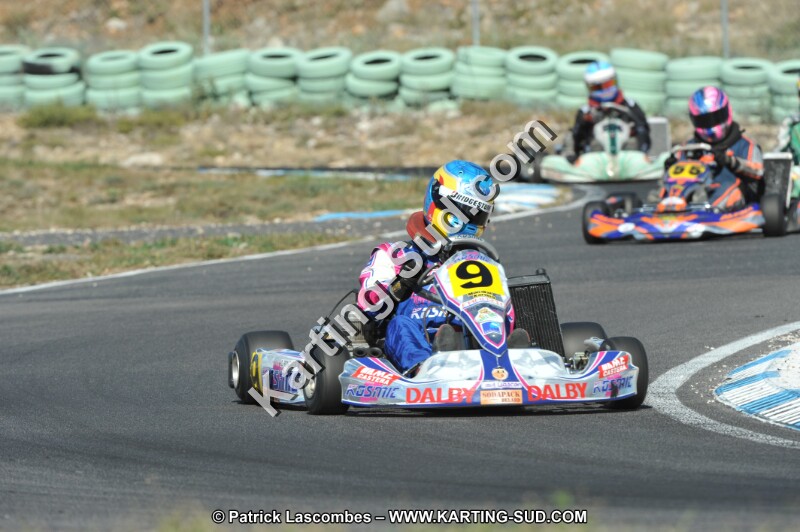 DSC_2242.JPG