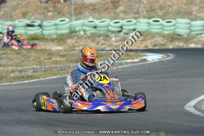 DSC_2249.JPG