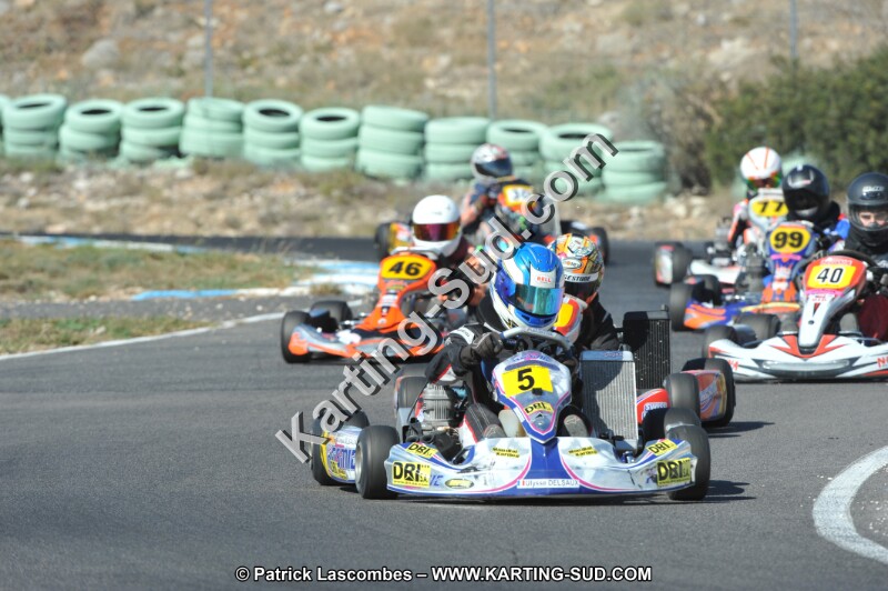 DSC_2295.JPG