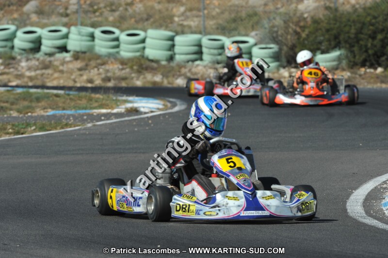 DSC_2308.JPG